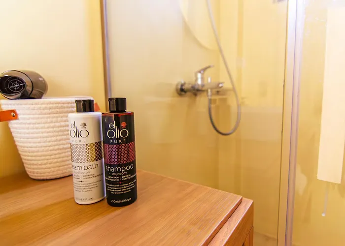 Summer Barbara ,private Pool Villa Mykonos Town